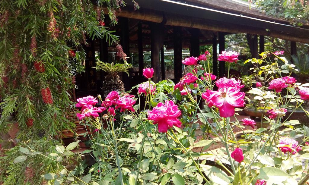 Tam Tinh Vien Homestay Huế Ngoại thất bức ảnh